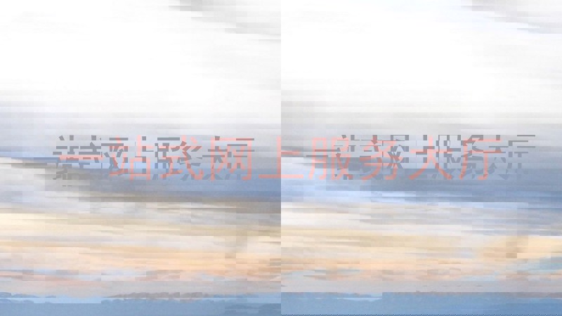 一站式网上服务大厅
