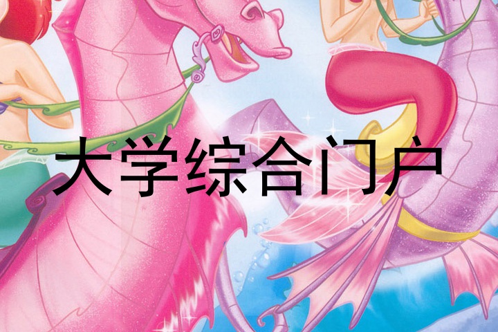 大学综合门户