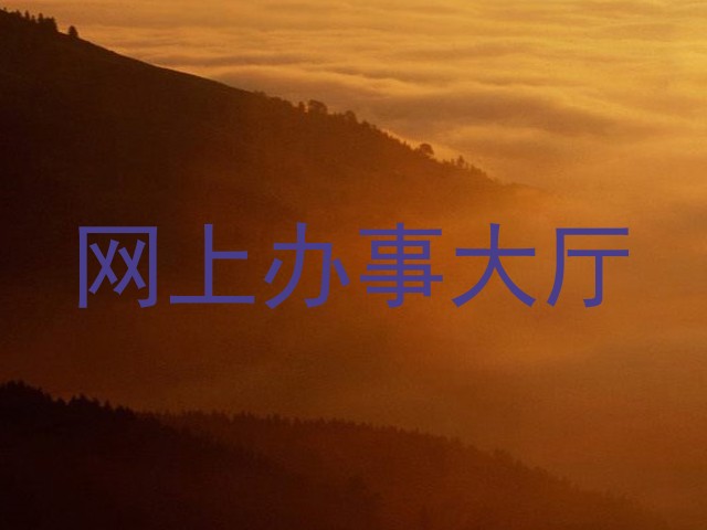 网上办事大厅