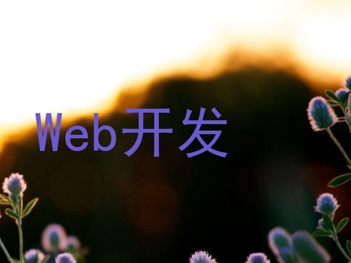 Web开发