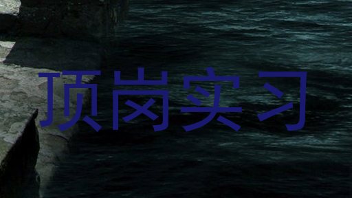顶岗实习