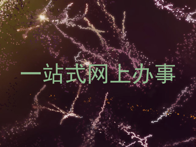 一站式网上办事