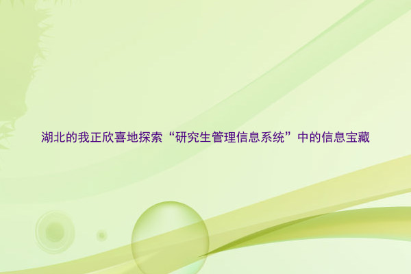 湖北的我正欣喜地探索“研究生管理信息系统”中的信息宝藏