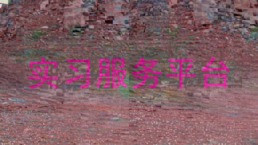 实习服务平台