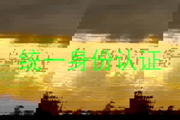 统一身份认证