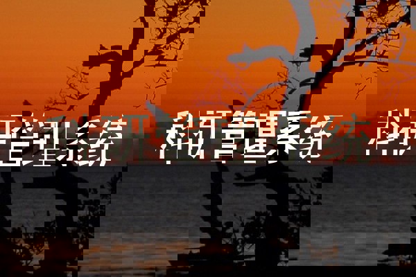 科研管理系统