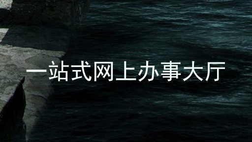 一站式网上办事大厅