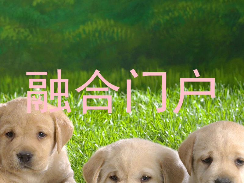 融合门户