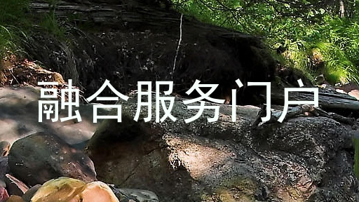 融合服务门户