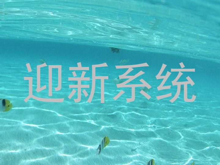 迎新系统