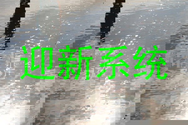 迎新系统