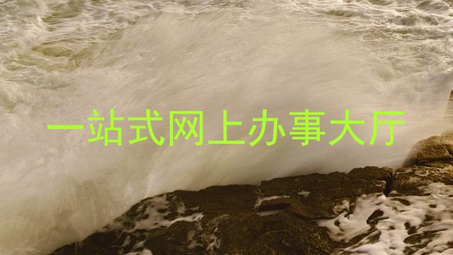 一站式网上办事大厅