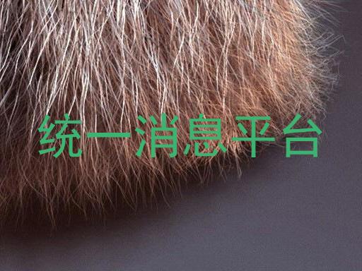 统一消息平台