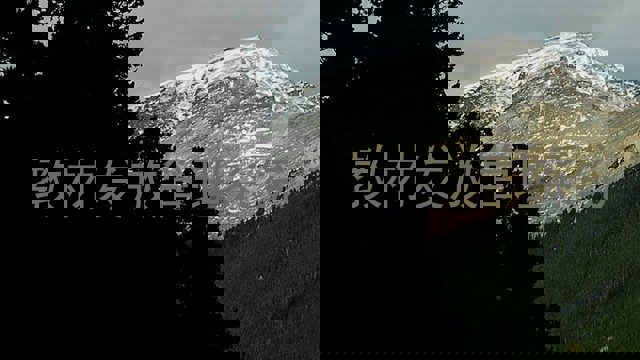 教材发放管理系统