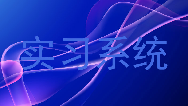 实习系统