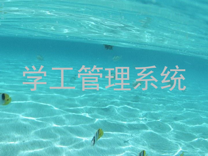 学工管理系统