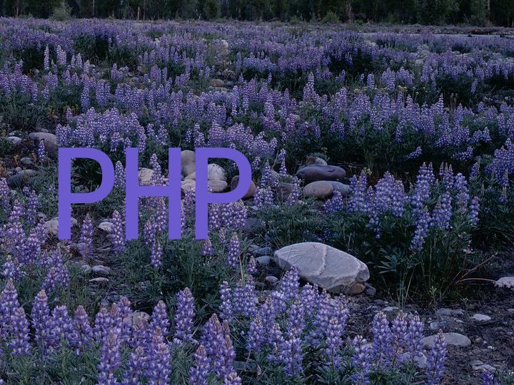 PHP
