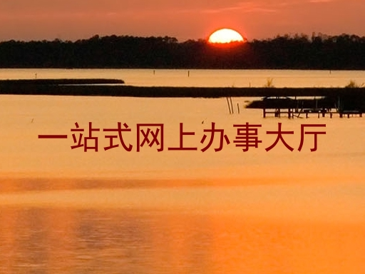 一站式网上办事大厅