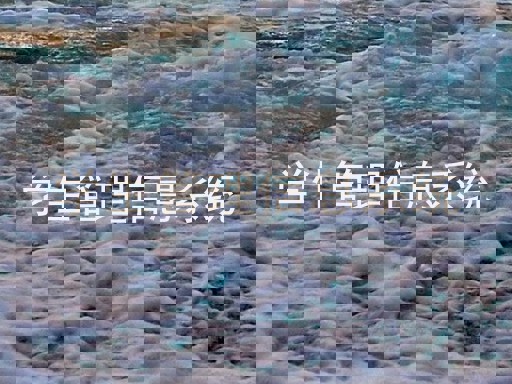 学生管理信息系统