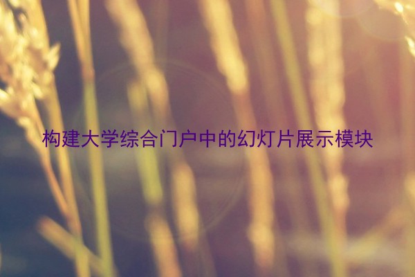 构建大学综合门户中的幻灯片展示模块