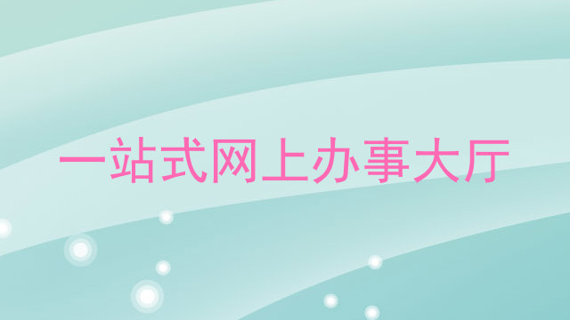一站式网上办事大厅