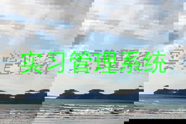 实习管理系统