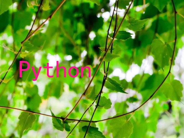 Python
