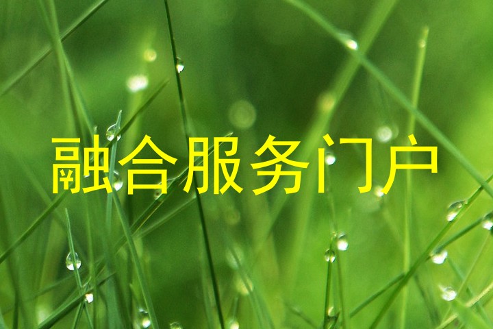 融合服务门户