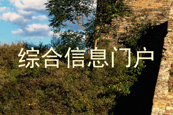 综合信息门户