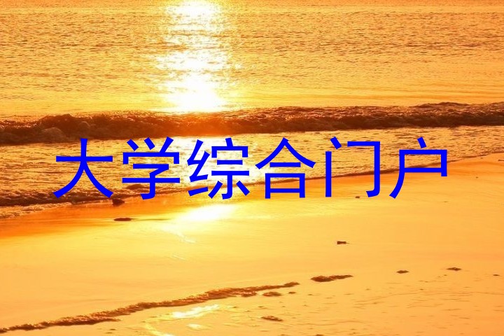 大学综合门户