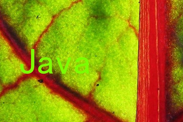 Java