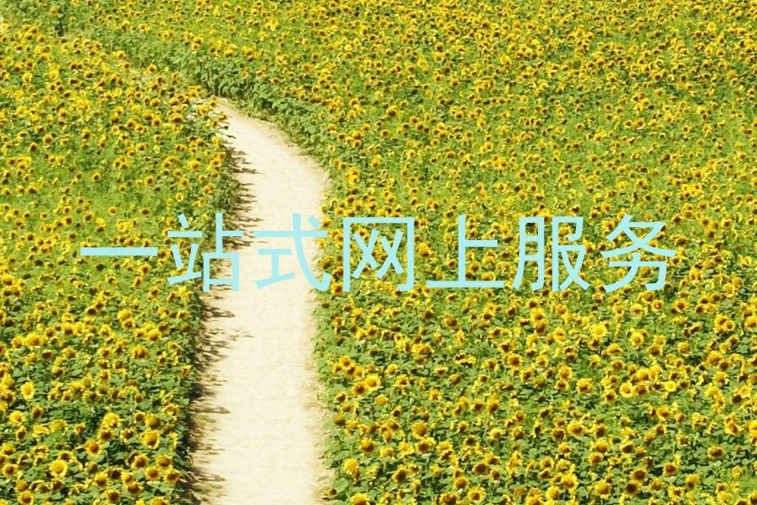 一站式网上服务