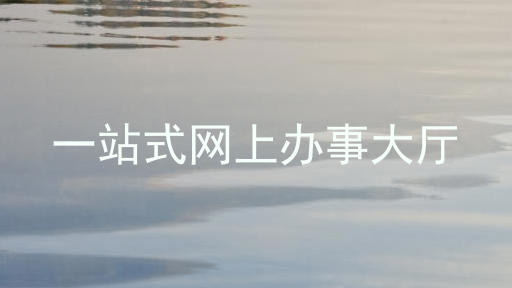 一站式网上办事大厅