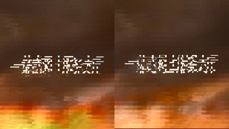 一站式网上服务大厅