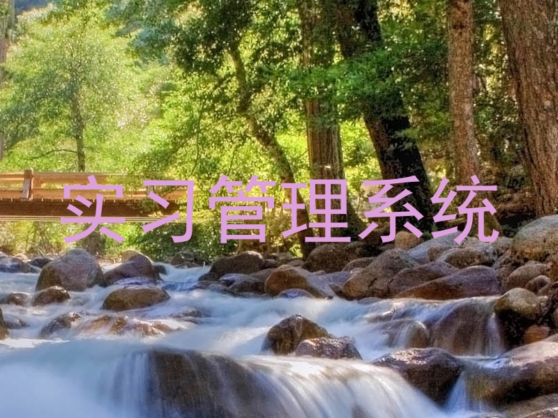 实习管理系统