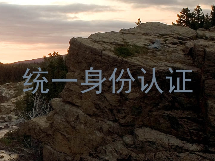 统一身份认证