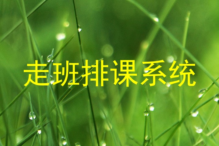走班排课系统