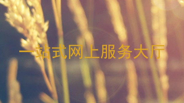 一站式网上服务大厅
