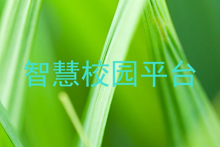 智慧校园平台
