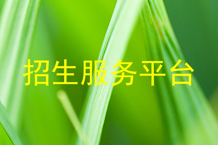 招生服务平台