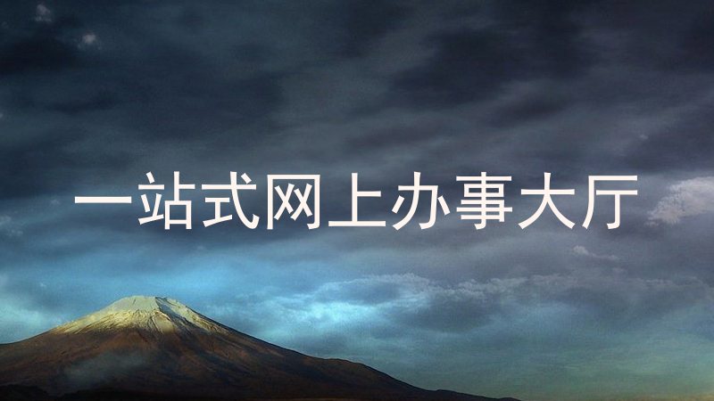 一站式网上办事大厅