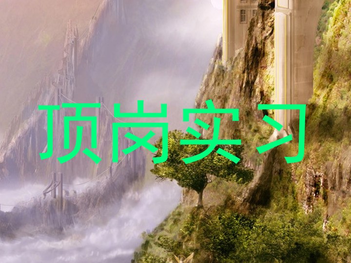 顶岗实习