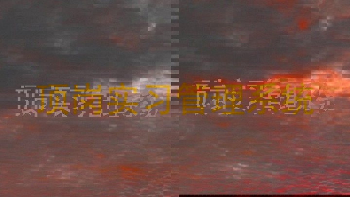 顶岗实习管理系统