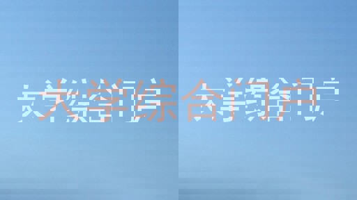 大学综合门户