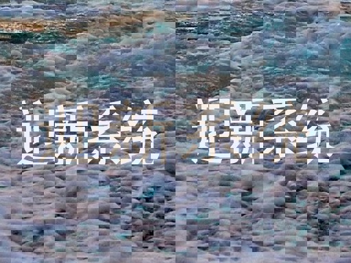 迎新系统