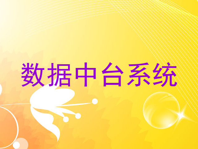 数据中台系统
