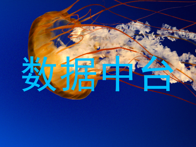 数据中台