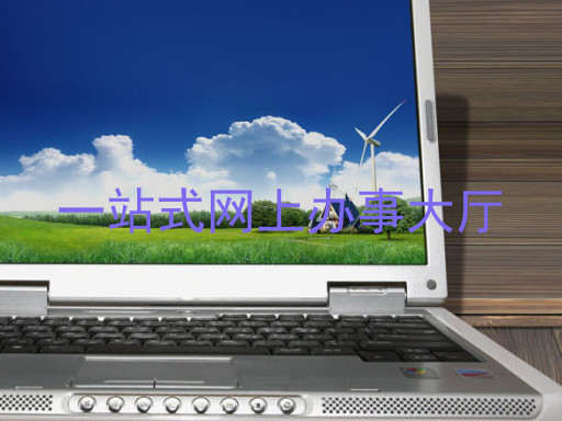 一站式网上办事大厅