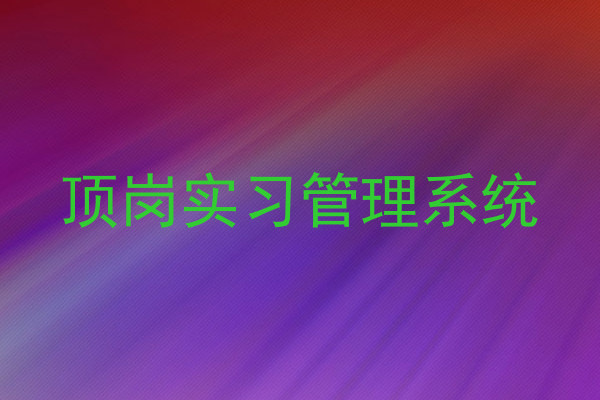 顶岗实习管理系统