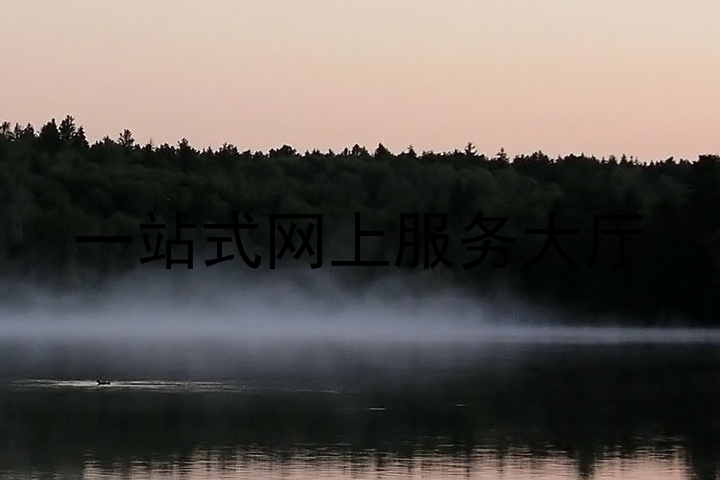 一站式网上服务大厅